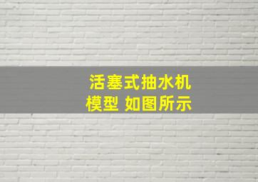 活塞式抽水机模型 如图所示